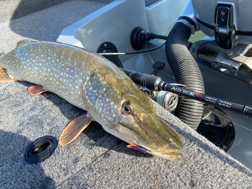 Всесезонный ADVISOR WJ