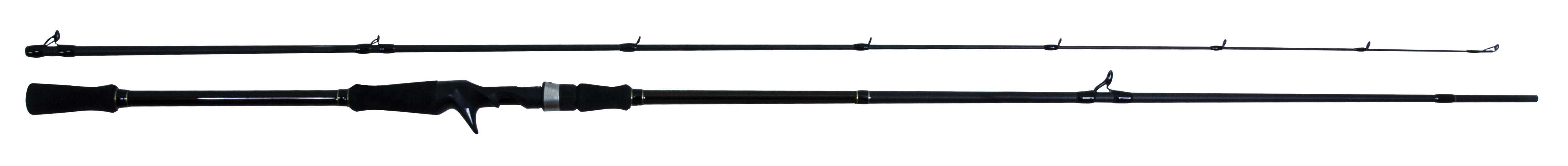 Maximus Zircon Casting