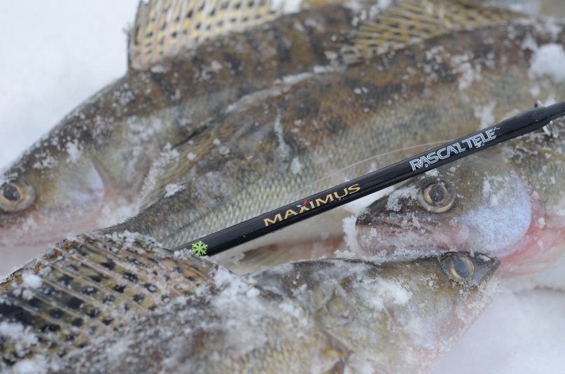 Новые тенденции и прорывные технологии на примере зимних удочек для блеснения