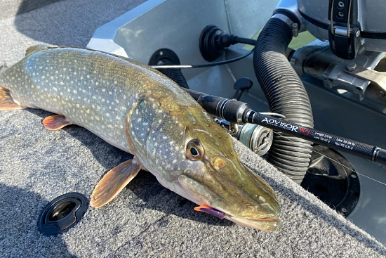 Всесезонный ADVISOR WJ