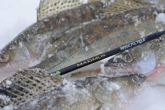 Новые тенденции и прорывные технологии на примере зимних удочек для блеснения